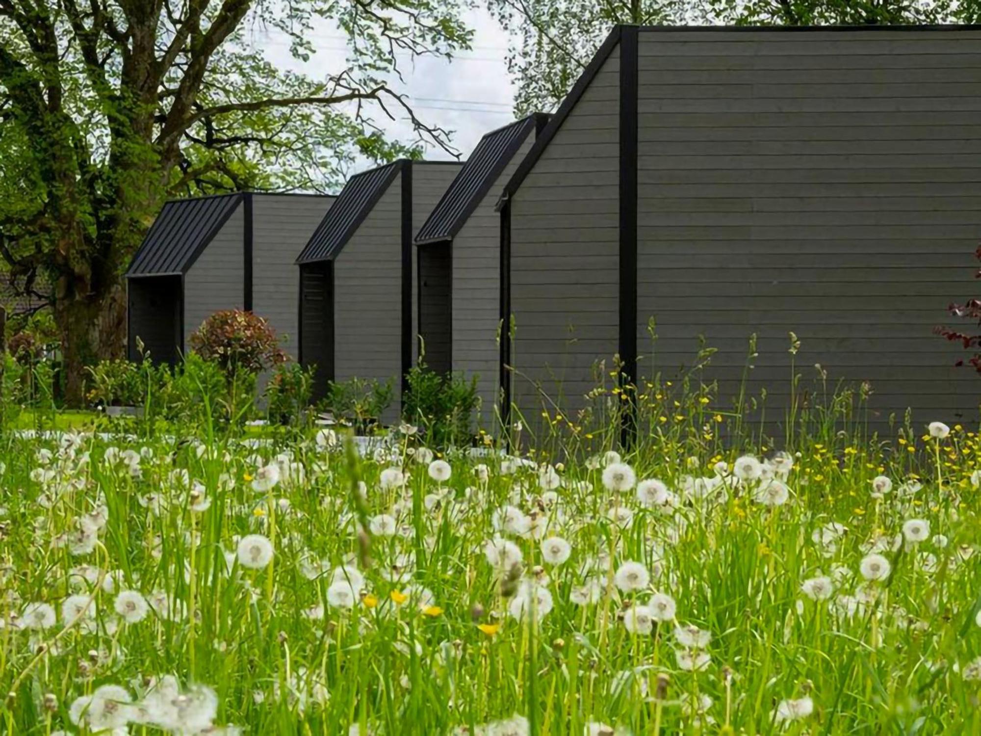 Tiny 4 You - Ihre Stilvollen Tiny-Haeuser Am Bodensee Hörbranz Eksteriør bilde